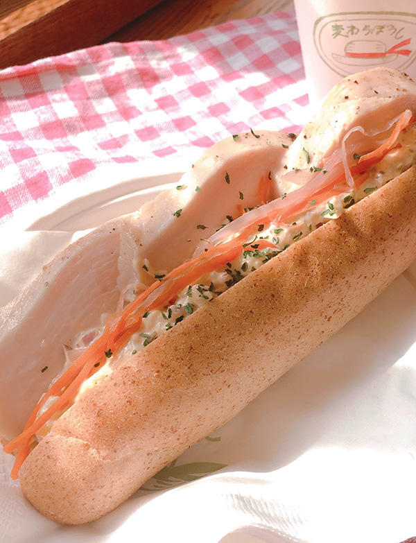 saparitikinnnotarutarudoggu.jpg