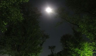 110911a.jpg