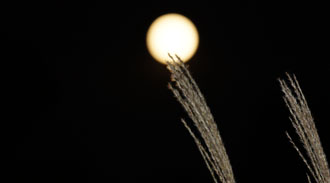 110912a.jpg