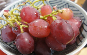 110920a.jpg