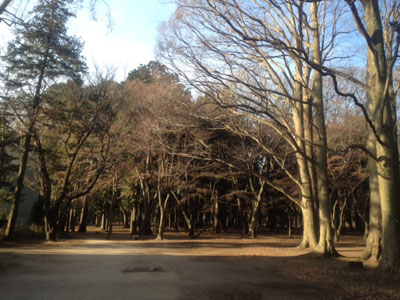 120110i_01.jpg