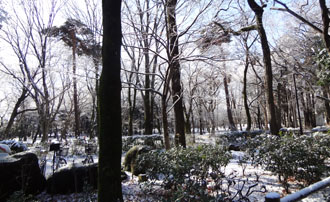 120124a.jpg