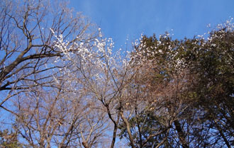 120124c.jpg