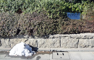 120130a.jpg