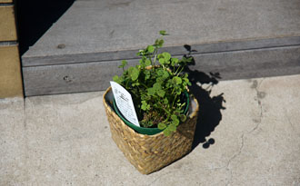 120404a.jpg
