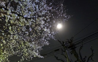 120404b.jpg