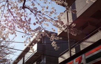 120406a.jpg