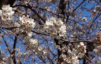 120406b.jpg