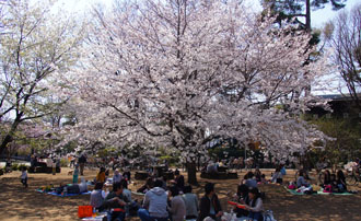 120409b.jpg
