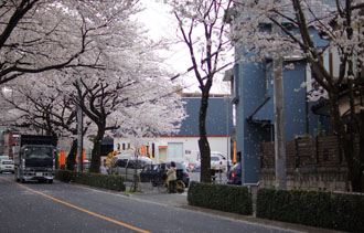 120410d.jpg