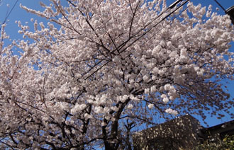 120412a.jpg
