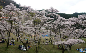 120415a.jpg