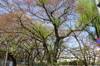 120418a.jpg