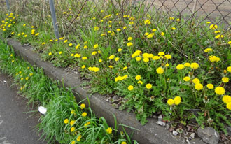 120426a.jpg