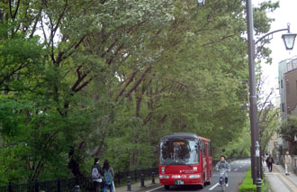 120426b.jpg