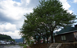 120505b.jpg