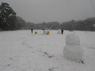 たくさんの雪だるま