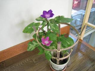 091013.jpg
