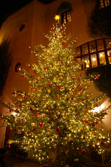 2010tree.JPG