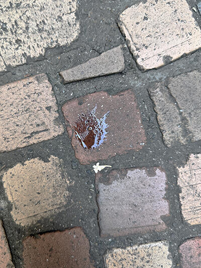 20260725.jpg